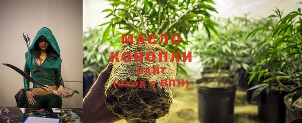 гашик Тавда