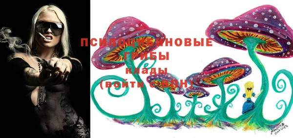 молекула духа Беломорск