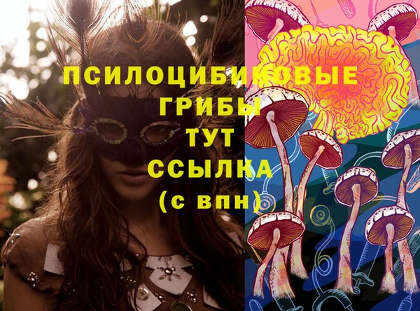 мяу мяу кристалл Сясьстрой