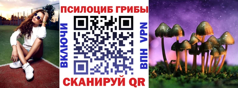 гидра   Коммунар  Галлюциногенные грибы GOLDEN TEACHER  наркота 